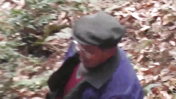 青少年女同性恋舔图片系列的护送纽约的独立